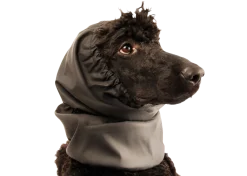 Snood waterproof, noir