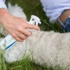 Spray anti-puces et tiques, 250 ml