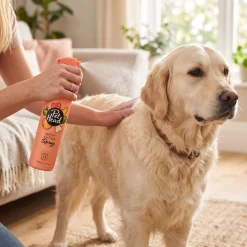 Spray Quick Fix, nettoyant à sec désodorisant parfum PECHE, 300 ml - Pet Head