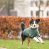 Sweat-shirt CityStyle Amsterdam, M: 45 cm, vert foncé