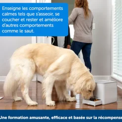 Système d’éducation positive Teach & Treats
