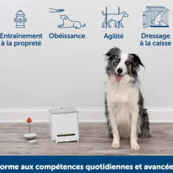 Système d’éducation positive Teach & Treats