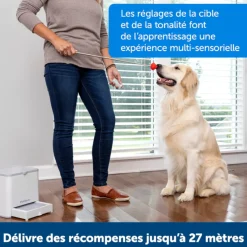 Système d’éducation positive Teach & Treats