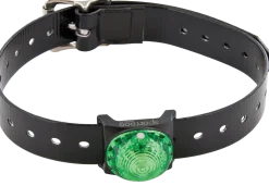 Système de repérage lumineux, SportDog, vert