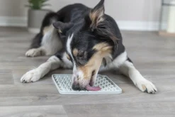 Table de Lick'n'Snack, en silicone, 20 × 20 cm, gris foncé