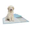 Tapis éducateur / absorbant, 60 pièces