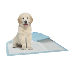 Tapis éducateur / absorbant, 60 pièces