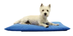 Tapis rafraîchissant taille S, 60 x 45 cm