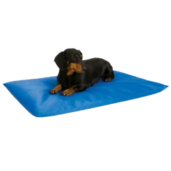 Tapis rafraîchissant taille S, 60 x 45 cm