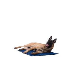 Tapis rafraichissant Aqua Coolkeeper - 40 x 30 cm