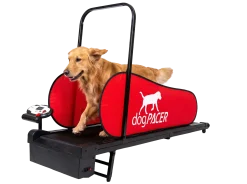 Tapis roulant DOG PACER - Large