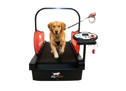 Tapis roulant DOG PACER - Mini