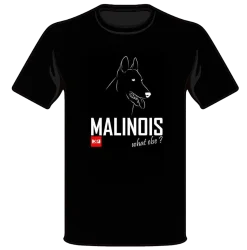 Tee shirt K9 Malinois (tête) What Else. - taille L