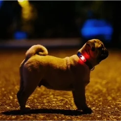 Tickless mini dog black rechargeable
