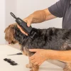 Tondeuse 1400 WAHL - Kit de toilettage de base