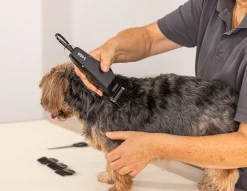 Tondeuse 1400 WAHL - Kit de toilettage de base