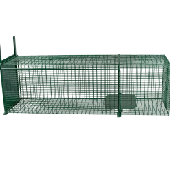 Trappe de capture chat 100 x 30 x 30 - 1 entrée - MORIN