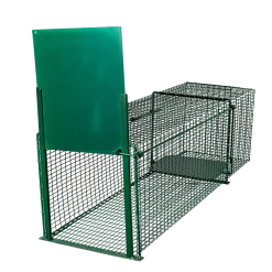 Trappe de capture chat 100 x 30 x 30 - 1 entrée - MORIN