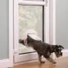 Trappe transparente Petsafe