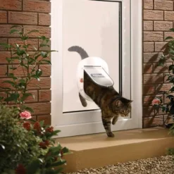 Trappe transparente Petsafe