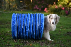 Tunnel FIRST Agility K9 Sport, 6 m, bleu