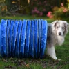 Tunnel FIRST Agility K9 Sport, 3 m, bleu