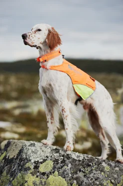 Veste de chasse PROTECTOR COVER - NON-STOP Dogwear - Taille L