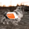 Veste reflechissant - NON-STOP Dogwear - Taille S