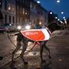 Veste reflechissant - NON-STOP Dogwear - Taille M