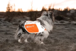 Veste reflechissant - NON-STOP Dogwear - Taille XL