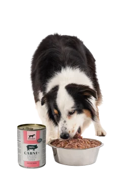 William's Carni+ Cochon, 800 gr