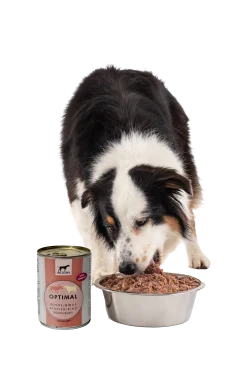 William's Optimal Renne / Bouef, 800 gr
