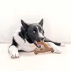 WISHBONE BACON L - BENEBONE