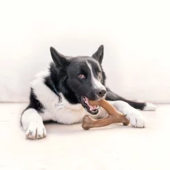 WISHBONE BACON M - BENEBONE