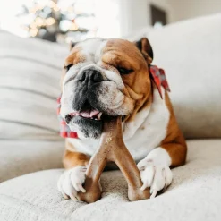 WISHBONE BACON M - BENEBONE