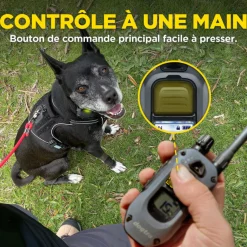 X1, émetteur pour Dogtra 640X