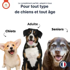 X3 Premium, complément alimentaire